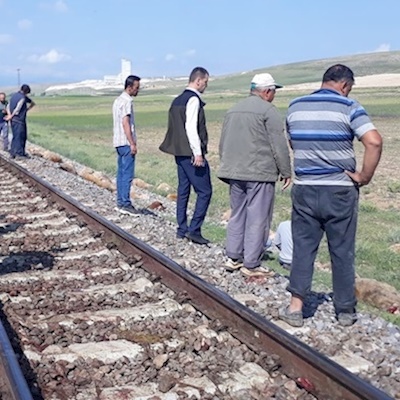 Ilgın’da tren sürüye daldı, 130 hayvan telef oldu