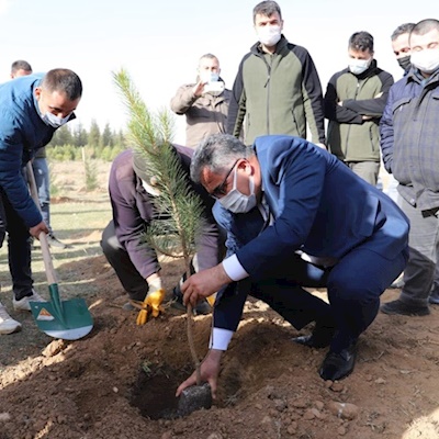 Ilgın Ekoturizm Alanında Ağaç Dikimi Başladı